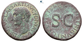 Drusus, son of Tiberius AD 22-23. Rome
As Æ

26 mm, 9,62 g



Fine