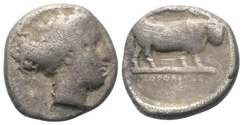 Kampanien. Neapolis.

 Didrachme oder Nomos (Silber). Ca. 420 - 400 v. Chr.
V...