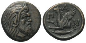 Taurischer Chersones. Pantikapaion.

 Bronze. Ca. 325 - 310 v. Chr.
Vs: Kopf eines bärtigen Satyrn rechts.
Rs: Greifenprotome links; im Abschnitt ...