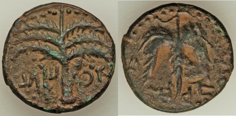 JUDAEA. Bar Kochba Revolt (AD 132-135). AE middle bronze (26mm, 11.24 gm, 6h). X...