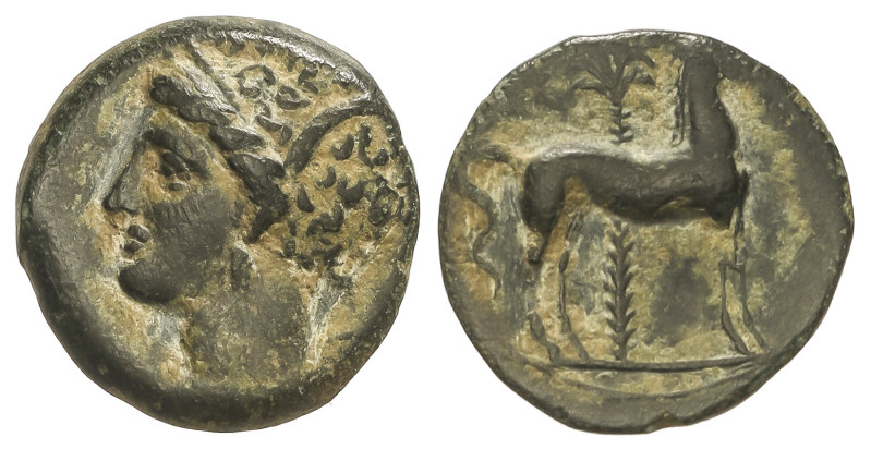 Celtiberian Coins
1/2 Calco. 220-215 a.C. ACUÑACIONES HISPANO-CARTAGINESAS. CAR...