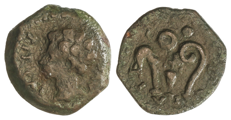 Celtiberian Coins
Cuadrante. 27 a.C.-14 d.C. ÉPOCA DE AUGUSTO. IULIA TRADUCTA (...