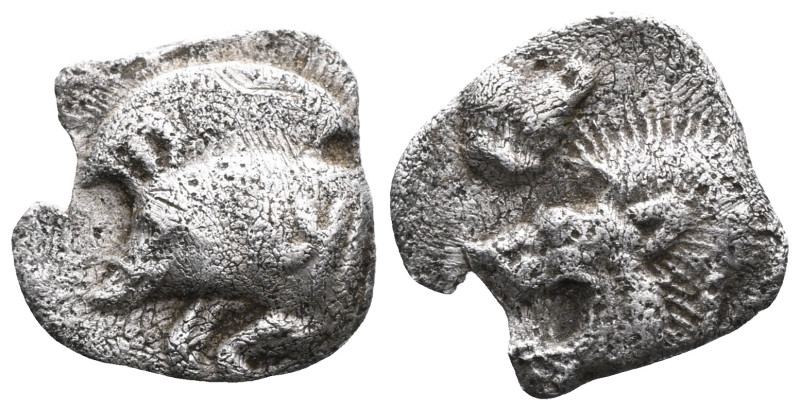 Greek coins Mysia, Cyzicus Obol circa 450, AR . Forepart of boar l., behind, tun...