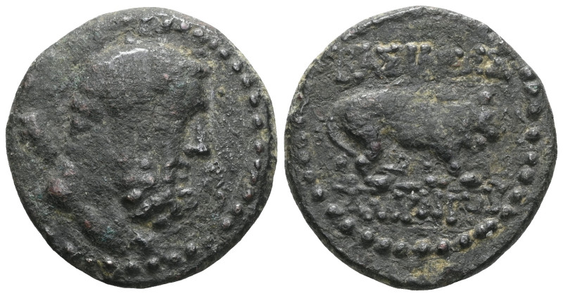 Kings of Galatia. Amyntas, AE. (Bronze), 36-25 BC. Obv: Bearded and bare head of...