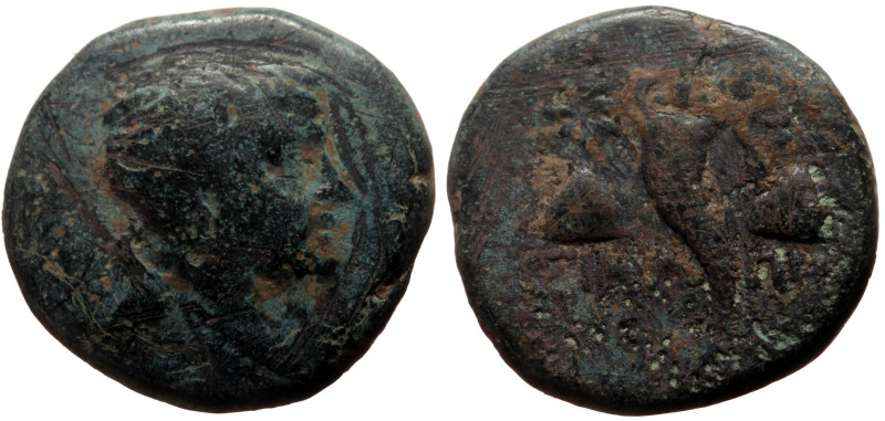 Bronze Æ
Pontos, Amaseia, Mithradates VI, ca. 120-100 BC, anonymous civic issue...