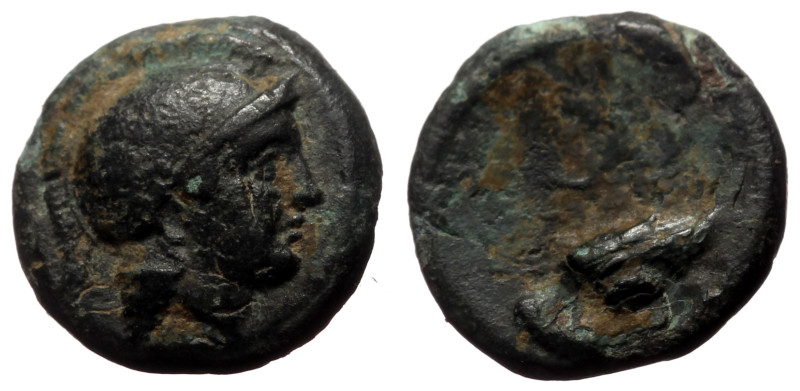 Bronze Æ
Greek coin