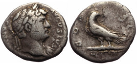 RARE *only 1 specimen in Reka Devnia hoard* Denarius AR
Hadrian (117-138), Rome, 125-128, HADRIANVS AVGVSTVS, bust laureate right / COS III - eagle s...