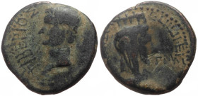 SCARCE Bronze Æ
*Just 12 specimens cited by RPC*, Koinon of Galatia, Tiberius (14-37) Magistrate: Priscus Issue: Series 2: (a) Priscus (AD 18 or 21/3...