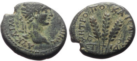 Bronze Æ
Cappadocia, Caesarea. Caracalla, 198-217 AD, AY KAI M AYΡHΛ ANTωNINOC, Laureate head right, MHTΡOΠO KAICAΡIAC / Three ears of grain, Date ET...