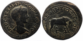 Pisidia, Antioch, Gordian III (238-244), IMP CAES M ANT GORDIANVS AVG, laurate, draped and cuirased bust right / CAES ANTIOCH COL, she-wolf standing r...