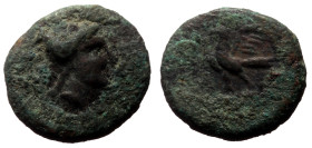 Bronze Æ
Roman provincial, st-3rd centuries AD, Female head right / Eagle standing left