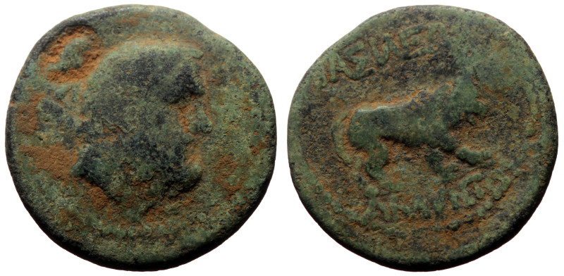 Bronze Æ
Roman Provincial
24 mm, 5,72 g