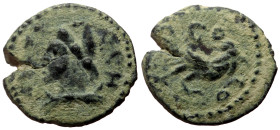 Bronze Æ
Roman Provincial
14 mm, 1,49 g