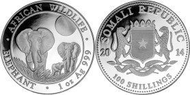 1 Oz AR
Somali Republic, Elefant, 2014
31,10 g