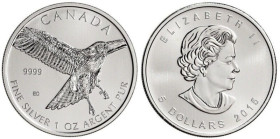 1 Oz AR
Canada, Birds, 2015
31,10 g