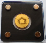 1/500 Oz Gold (999/1000)