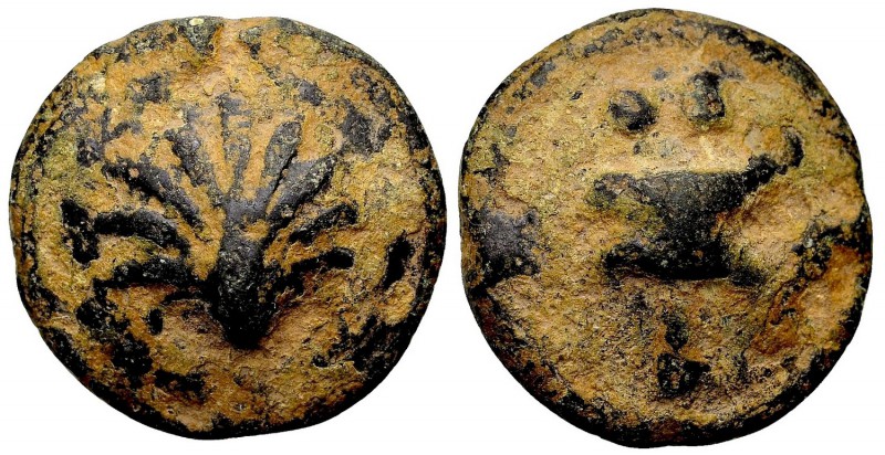 Apulia, Luceria. Ca. 217-212 BC. Æ biunx, 21.12 gr. scallop shell / knucklebone,...