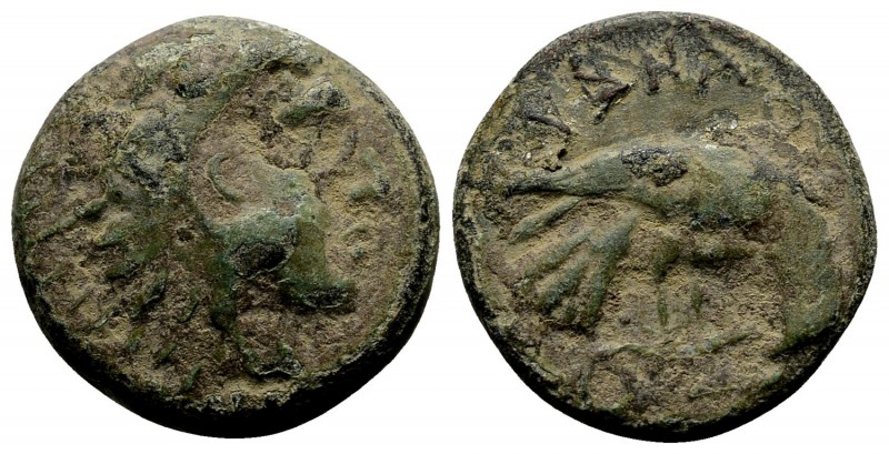 Macedon, Pydna. Ca. 381-369 BC. Æs, 4.35 g. Head of young Herakles right, wearin...