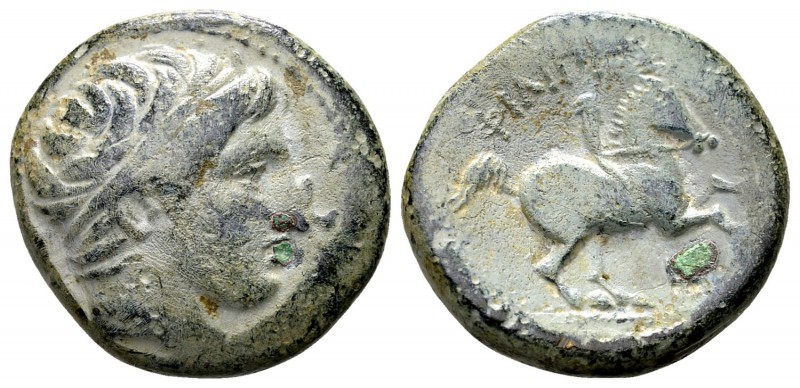 Kingdom of Macedon, Philip II. Uncertain mint in Macedon, 315-295 BC. Æ17, 6.45 ...