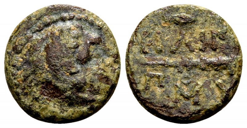 Kingdom of Macedon, Philip II. Uncertain mint in Macedon, 315-295 BC. Æ10, 1.24 ...