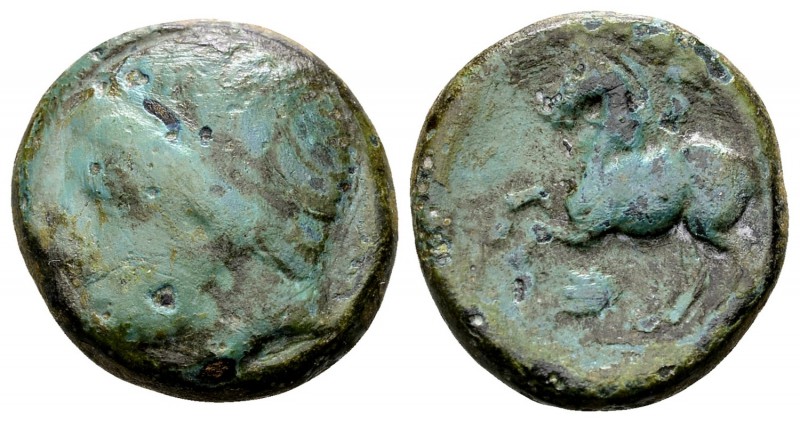 Kingdom of Macedon, Philip II. Uncertain mint in Macedon, 315-295 BC. Æ16, 5.95 ...