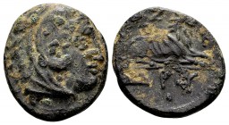 Kingdom of Macedon, Kassander. Pella or Amphipolis, 316-306 BC. Æ15, 3.6 g. Head of Herakles wearing lion skin right / KAΣΣANΔPOY lion reclining right...