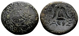 Kingdom of Macedon, Antigonos II Gonatas.  Amphipolis, ca. 270-240 BC. Æ16, 3.75 g. Macedonian shield with king´s monogram on boss / BAΣI macedonian h...