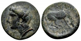 Thessaly, Larissa. Ca. 380-337 BC. Æ dichalkon, 3.16 g. Head of the nymph Larissa left, wearing earring / ΛAPI ΣAIΩN horse right, about to roll. BCD T...