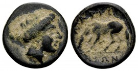 Thessaly, Larissa. Ca. 380-337 BC. Æ chalkous, 2.35 g. Head of the nymph Larissa right, wearing earring / ΛAPI ΣAIΩN horse left, about to roll. BCD Th...