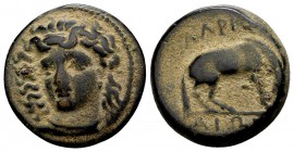 Thessaly, Larissa. Ca. 356-342 BC. Æ dichalkon, 5.01 g. Head of the nymph Larissa 3/4 facing left / ΛΑΡΙΣ ΑΙΩΝ horse standing right about to roll; bel...