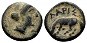 Thessaly, Larissa. Late 4th-early 3rd centuries BC. Æ chalkous, 2.18 g. Head of the nymph Larissa right / ΛΑΡΙΣ AΙΩΝ horse left, about to roll. BCD Th...