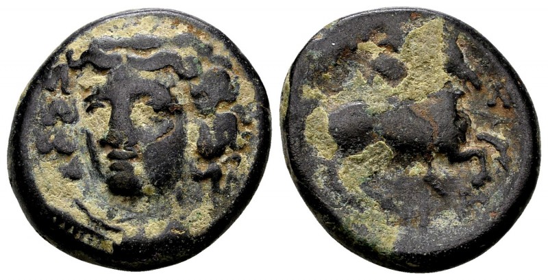 Thessaly, Larissa. Late 4th-early 3rd century BC. Æ tetrachalkon, 7.35 g. Head o...