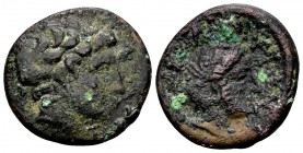 Thessaly. Phalanna. Late 4th century BC. Æ dichalkon, 4.61 g. Male head right / ΦΑΛΑΝΝΑΙΩΝ head of nymph right, hair in sakkos. BCD Thessaly II 578. N...