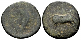 Thessaly, Pharkadon. Ca. 325-300 BC. Æ dichalkon, 2.6 g. Horse grazing right /[ ΦΑΡΚΑΔ ΟΝΙΩΝ  star in] crescent. BCD Thessaly II 624.2. Fine....