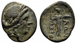 Thessaly, Thessalian League. Late 2nd–mid 1st century BC. Æ chalkous, 3.9 g. Philok..., magistrate. Laureate head of Apollo right / ΘEΣΣA ΛΩN Athena I...