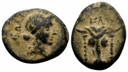 Phokis, Elateia. Early 2nd century BC. Æ15, 4.03 g. Head of bull facing, fillets hanging from horns; above: ΕΛ / ΦΟΚEΩΝ laureate head of Apollo right....