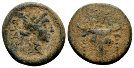 Phokis, Elateia. Early 2nd century BC. Æ15, 4.64 g. Head of bull facing, fillets hanging from horns; above: ΕΛ / ΦΟΚEΩΝ laureate head of Apollo right....