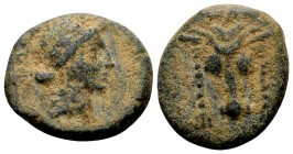 Phokis, Elateia. Early 2nd century BC. Æ17, 4.85 g. Head of bull facing, fillets hanging from horns; above: ΕΛ / ΦΟΚEΩΝ laureate head of Apollo right....