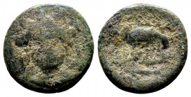 Euboia, Chalkis. Ca. 245-196 B.C. AE11, 1.41 g. Diademed and draped bust of Hera facing / [XAΛ] eagle flying right, holding serpent in its claws; in r...