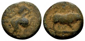Attika, Eleusis. Ca. 340-335 BC. Æ14, 2.65 g. Triptolemos, holding grain ear, seated left in winged chariot being drawn by two serpents / Pig standing...