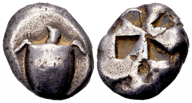Aegina, Aegina. . Ca. 500-480 BC. AR stater, 12.05 g. Sea turtle, with no collar...