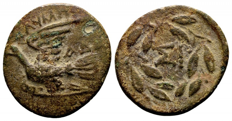 Sikyonia, Sikyon. Early-mid 1st century BC. Æ chalkous, 2.38 g. ΟΛΥΜΠΙ dove flyi...