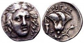 Islands off Caria, Rhodos. Rhodes, ca 205-190 BC. AR drachm, 2.69 g. Gorgos magistrate. Head of Helios facing slightly right / ΓΟΡΓΟΣ rose with bud to...