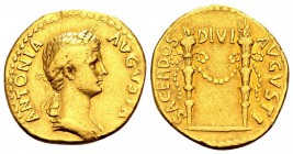 Antonia, wife of Nero Claudius Drusus. Rome, ca. 41-45 BC. AU aureus, 7.70 gr. ANTONIA AUGUSTA  draped bust right, wearing wreath of corn-ears / SACER...