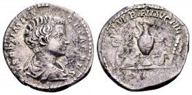 Geta as Caesar. Rome, 199 AD. AR denarius, 3.28 g. L SEPTIMIVS GETA CAES draped, cuirassed bust right / SEVERI PII AVG FIL priestly implements. RIC 3....