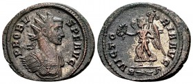 Probus. Rome, 276-282 AD. Æ antoninianus, 3,96 g. PROBVS P F AVG radiate, cuirassed bust right / VICTORIA AVG Victory walking left, holding wreath and...