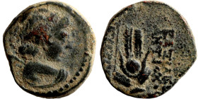 SELEUKID KINGS of SYRIA Antiochos VII (138-129 BC). AE bronze. Obv.: bust of winged Eros right. Rev.: BAΣIΛEΩΣ ANTIOXOY EYEPΓETOY, headdress of Isis /...