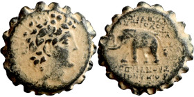 SELEUKID KINGS of SYRIA. Antioch mint. Antiochos VI Dionysos (144-142 BC). AE bronze. Obv.: radiate and wreathed head r. Rev.: elephant standing l., h...