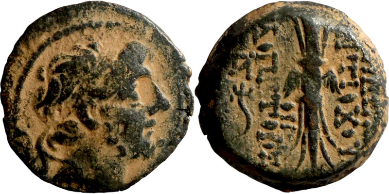 SELEUKID KINGS of SYRIA. Antioch mint. Antiochos IX Kyzikenos (114/3-95 BC). AE ...