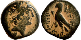 SELEUKID KINGS of SYRIA. Antioch mint . Antiochos VIII Epiphanes (121-96 BC). AE bronze. Obv.: diademed head of Antiochus right. Rev.: BAΣІΛEΩΣ ANTIOX...